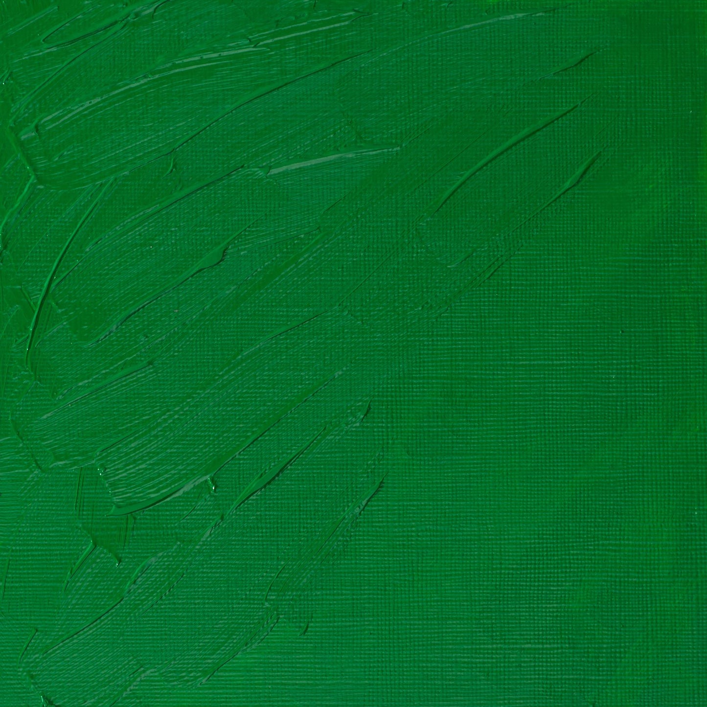 W & N Artists' Oil 37ml Permanent Green Light - theartshop.com.au