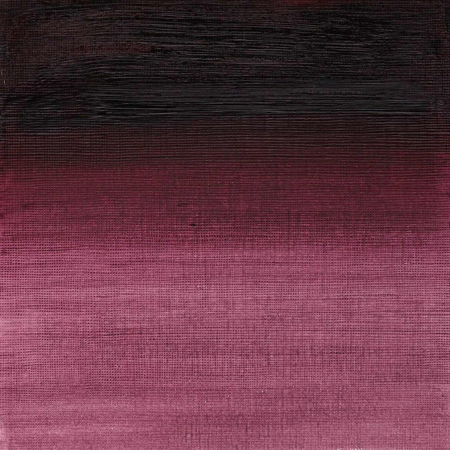 W & N Artists' Oil 37ml Purple Lake - theartshop.com.au