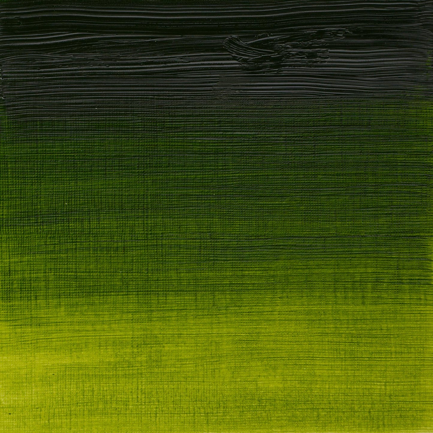 W & N Artists' Oil 37ml Sap Green - theartshop.com.au