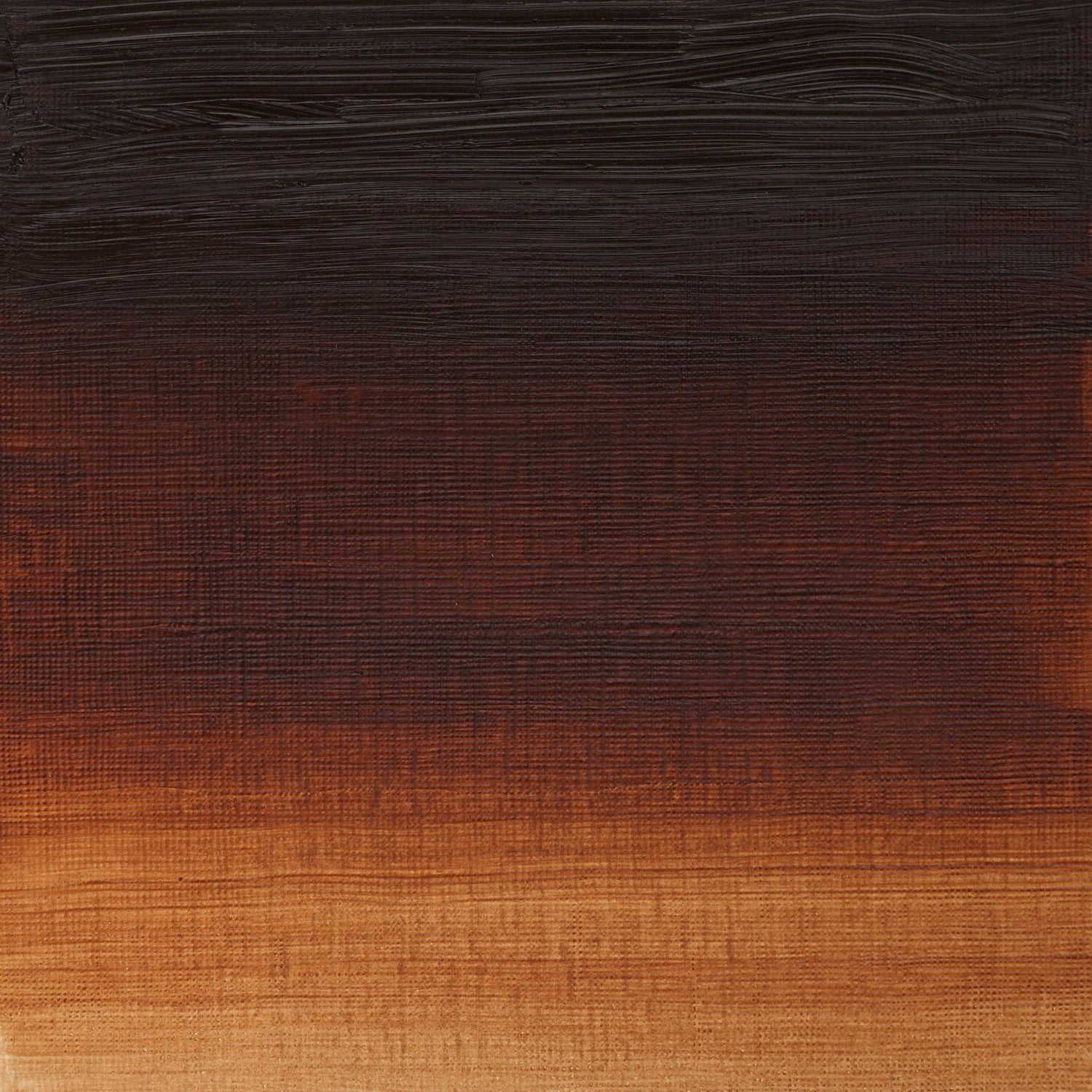 W & N Artists' Oil 37ml Transparent Brown Oxide - theartshop.com.au