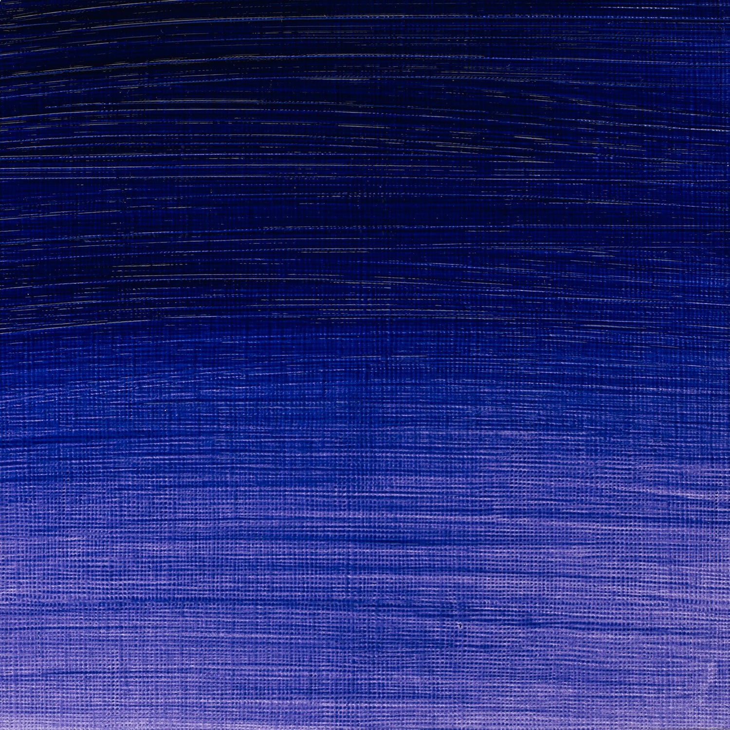W & N Artists' Oil 37ml Ultramarine Violet - theartshop.com.au