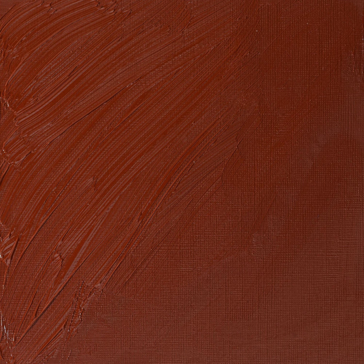 W & N Artists' Oil 37ml Venetian Red - theartshop.com.au