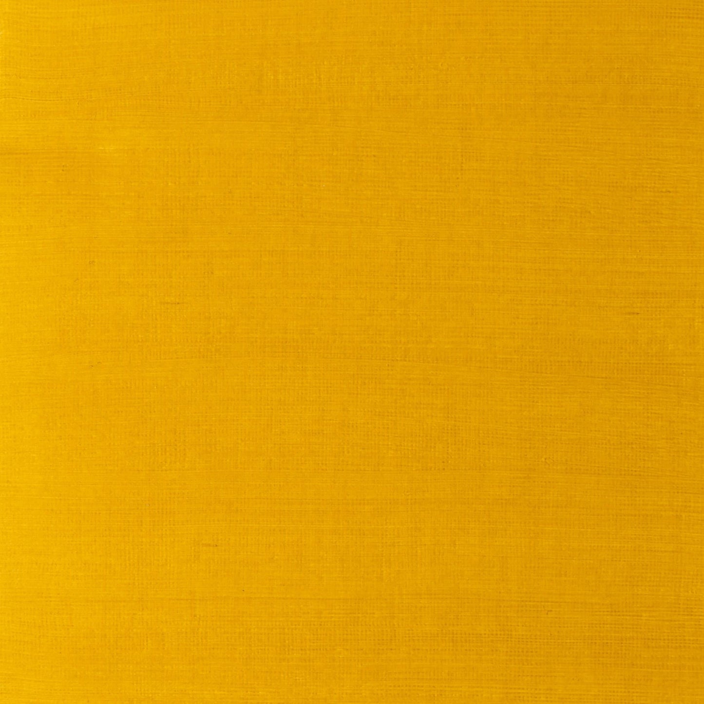W & N Artists' Oil 37ml Yellow Ochre Light - theartshop.com.au