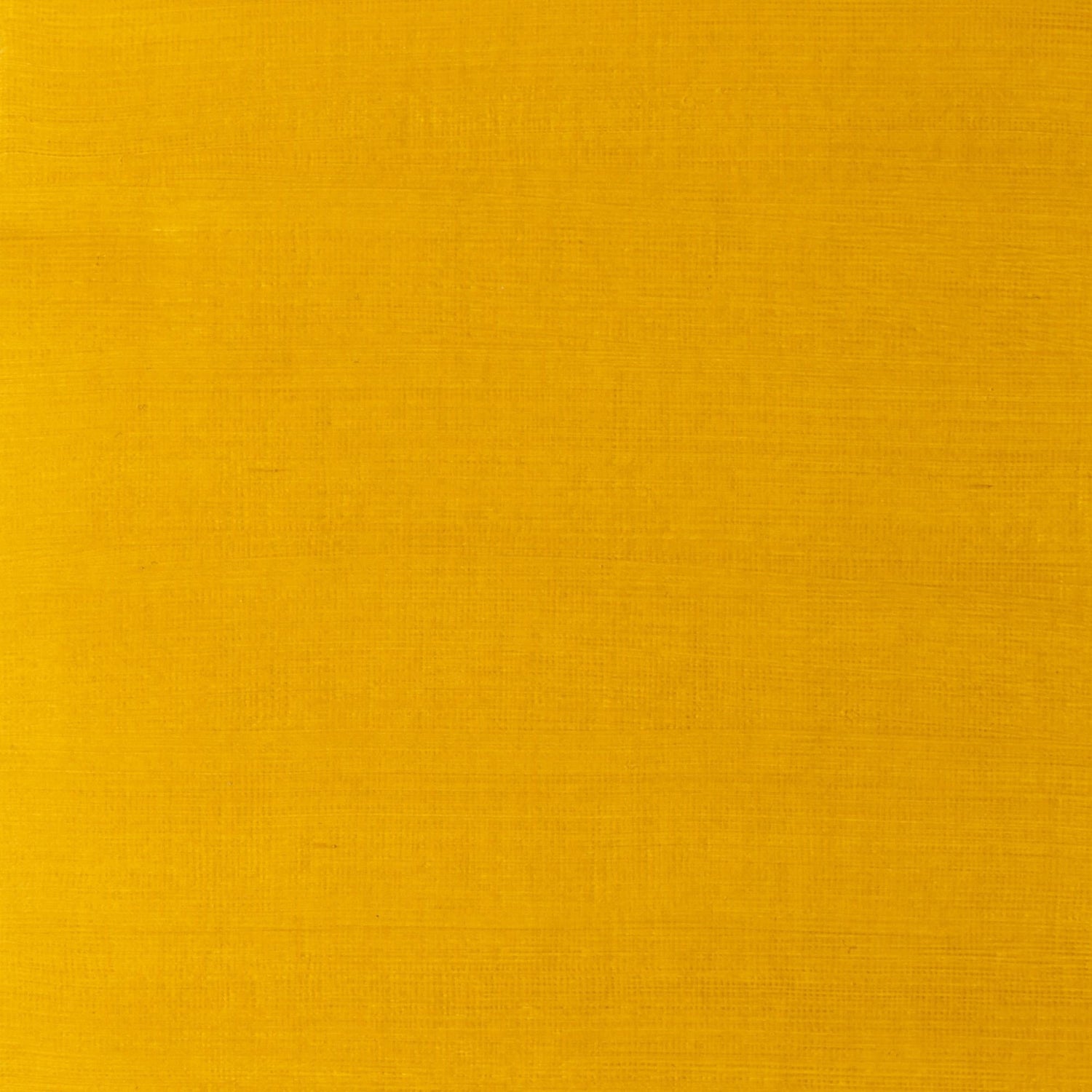 W & N Artists' Oil 37ml Yellow Ochre Light - theartshop.com.au