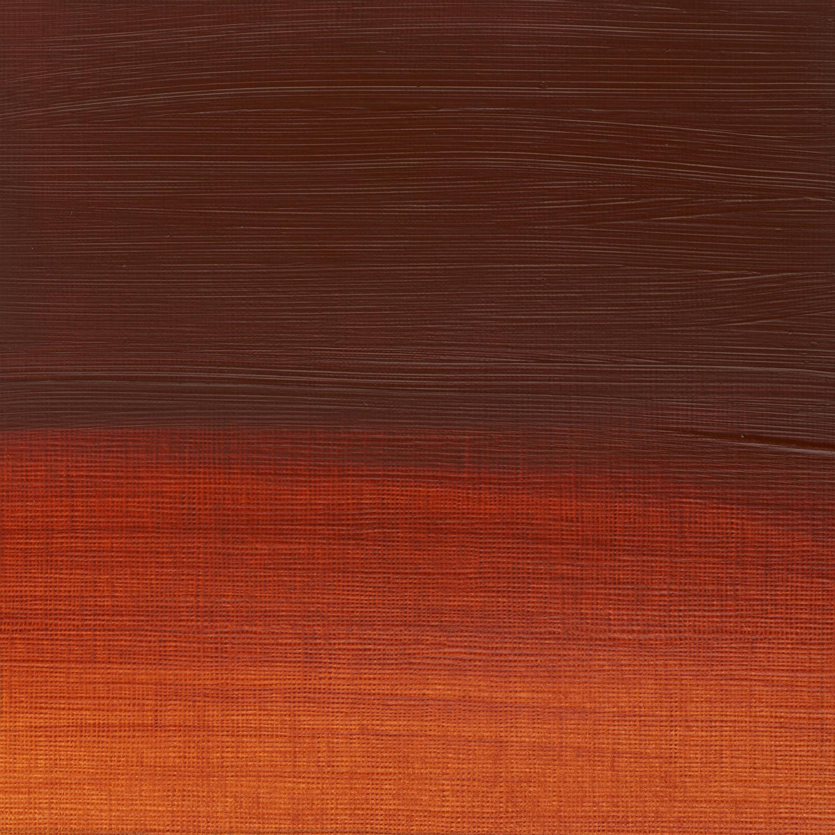W & N Griffin Alkyd Oil 37ml Burnt Sienna - theartshop.com.au