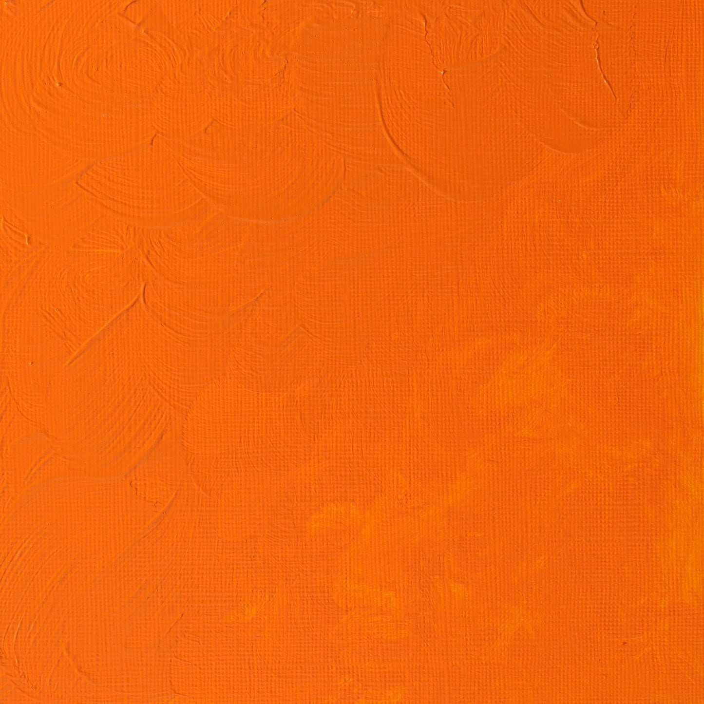 W & N Griffin Alkyd Oil 37ml Cadmium Orange Hue - theartshop.com.au