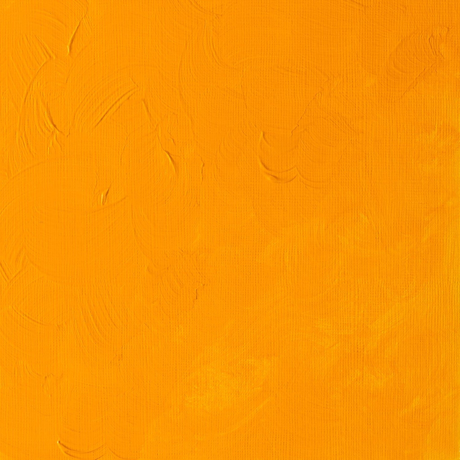 W & N Griffin Alkyd Oil 37ml Cadmium Yellow Deep - theartshop.com.au