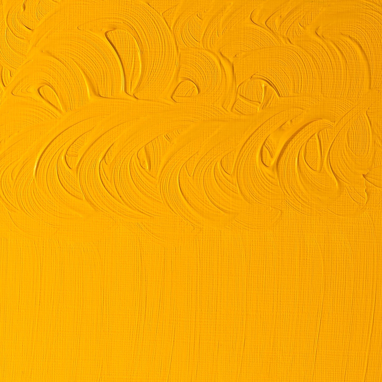 W & N Griffin Alkyd Oil 37ml Cadmium Yellow Med Hue - theartshop.com.au
