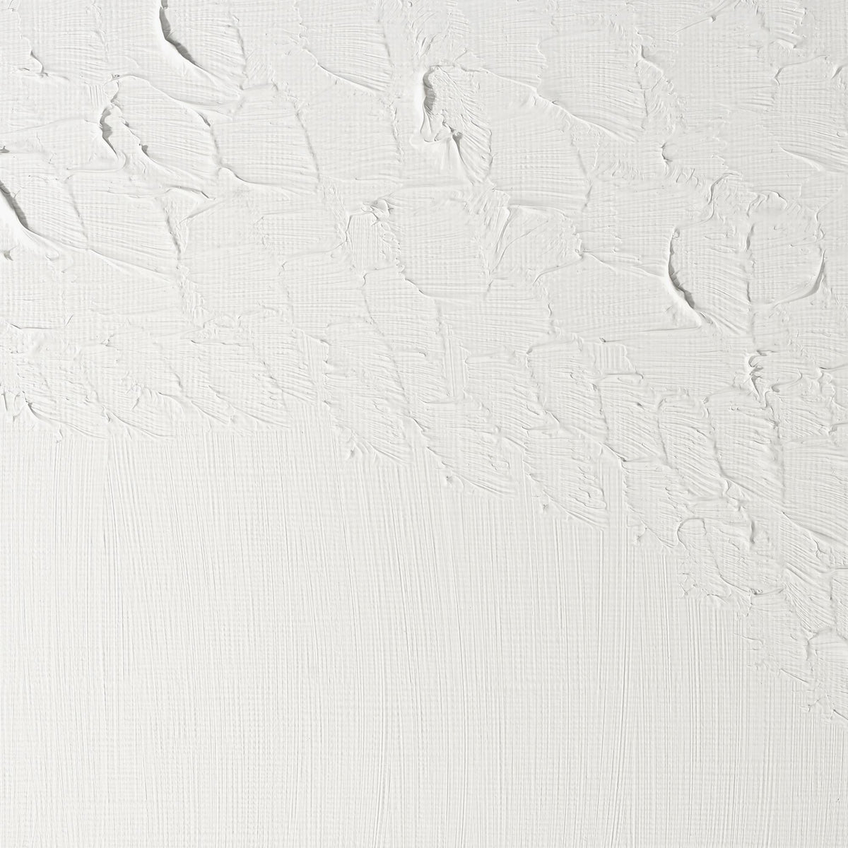 W & N Griffin Alkyd Oil 37ml Titanium White - theartshop.com.au
