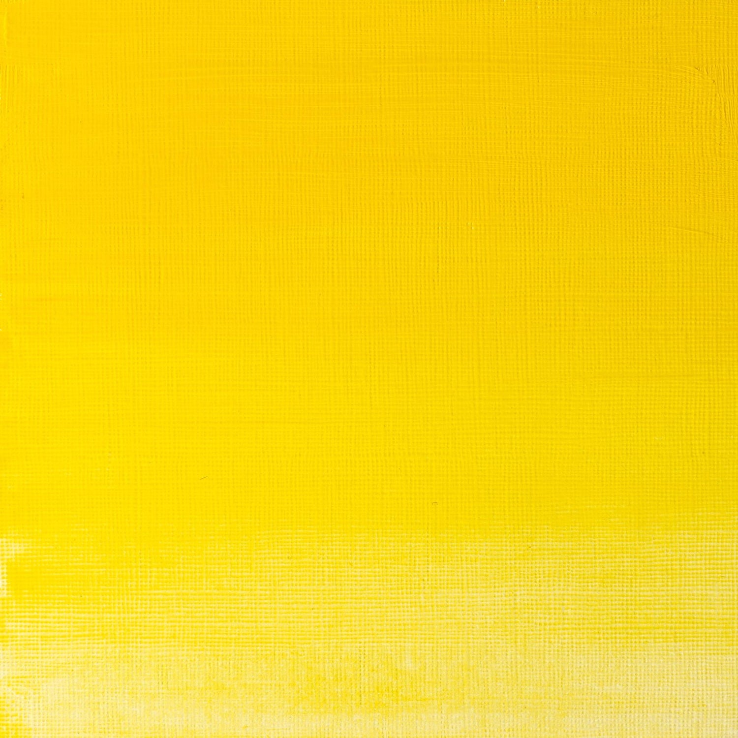 W & N Griffin Alkyd Oil 37ml Winsor Yellow - theartshop.com.au