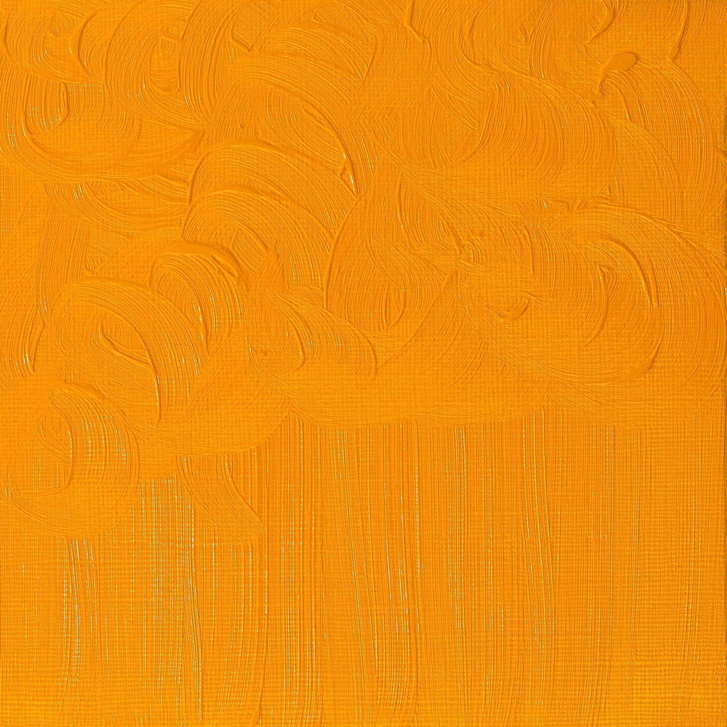 Winton Oil Colour 200ml Cadmium Yellow Hue - theartshop.com.au