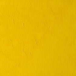 Winton Oil Colour 200ml Cadmium Yellow Pale Hue - theartshop.com.au