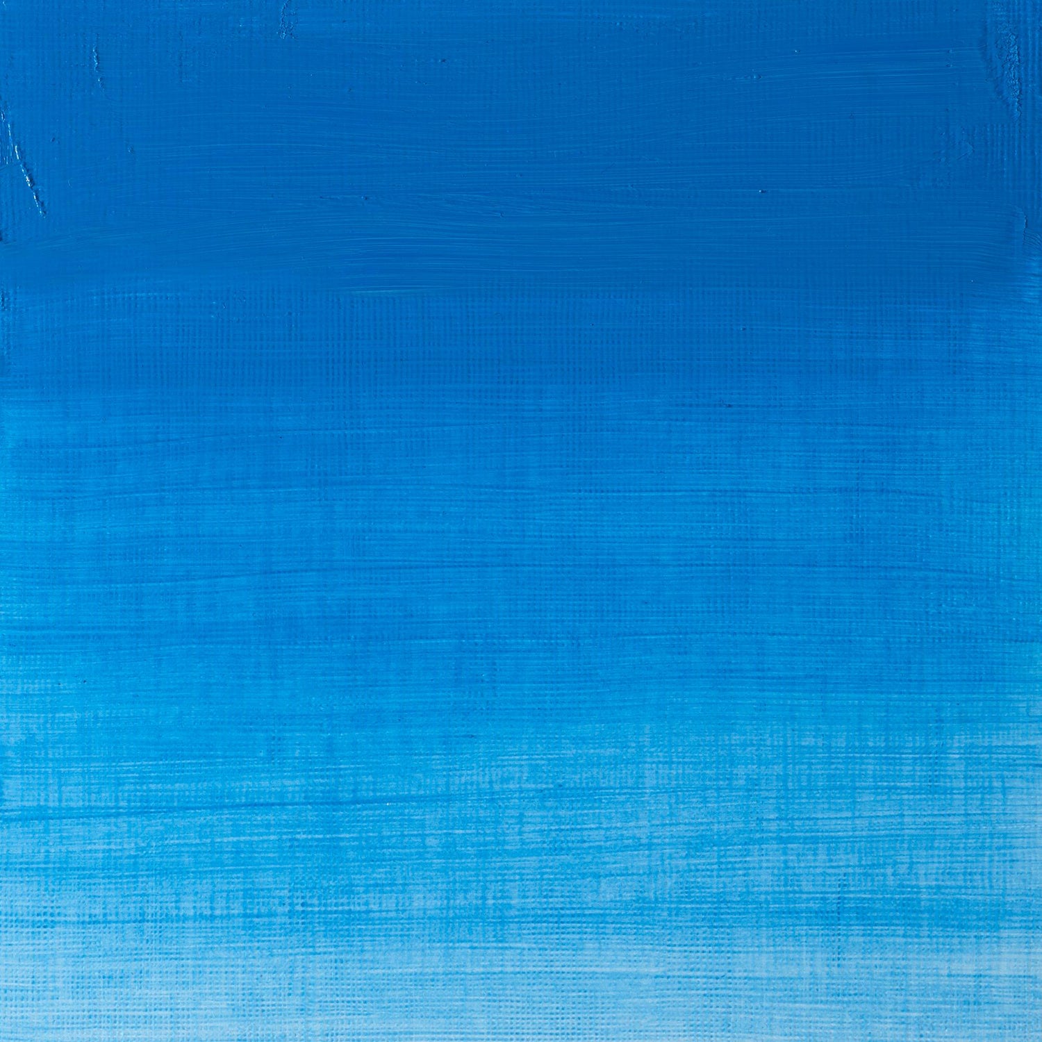 Winton Oil Colour 200ml Cerulean Blue Hue - theartshop.com.au