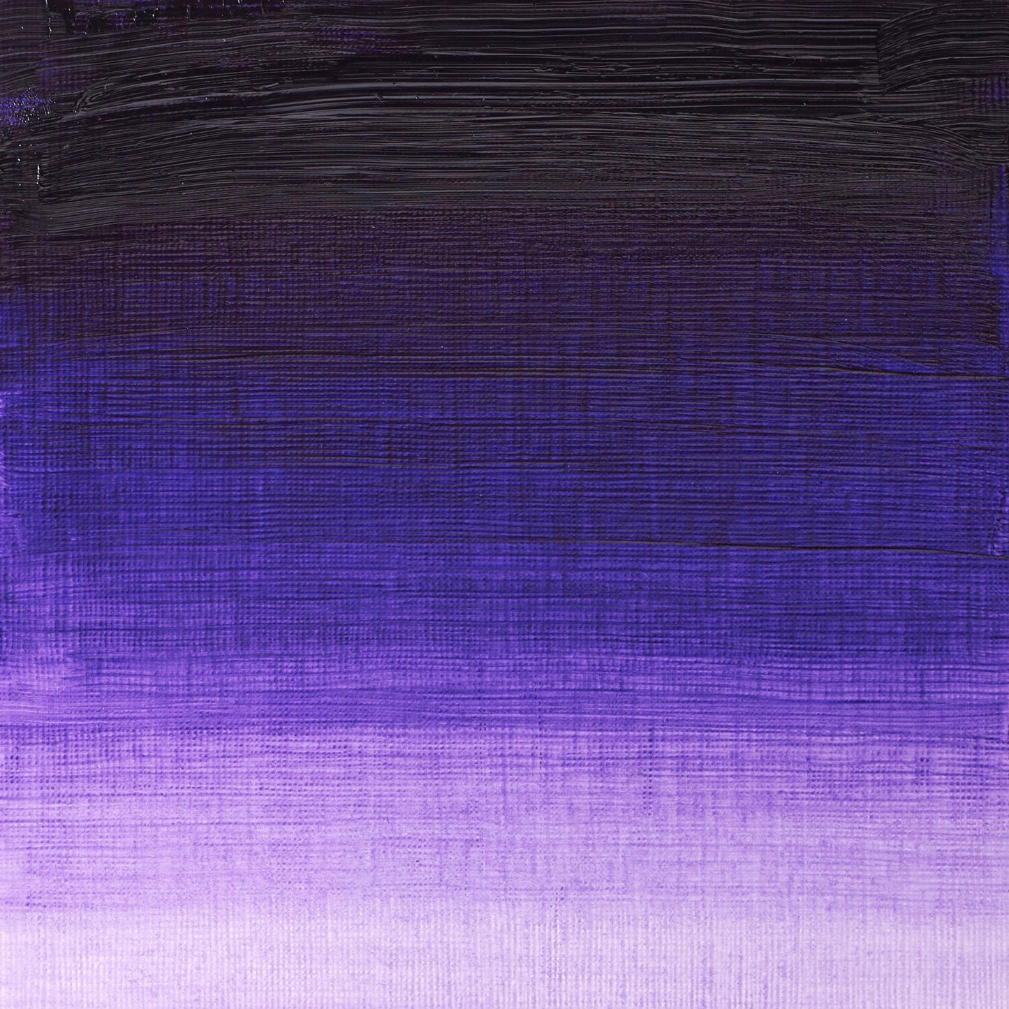 Winton Oil Colour 200ml Dioxazine Purple - theartshop.com.au