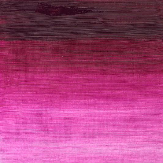 Winton Oil Colour 200ml Magenta - theartshop.com.au