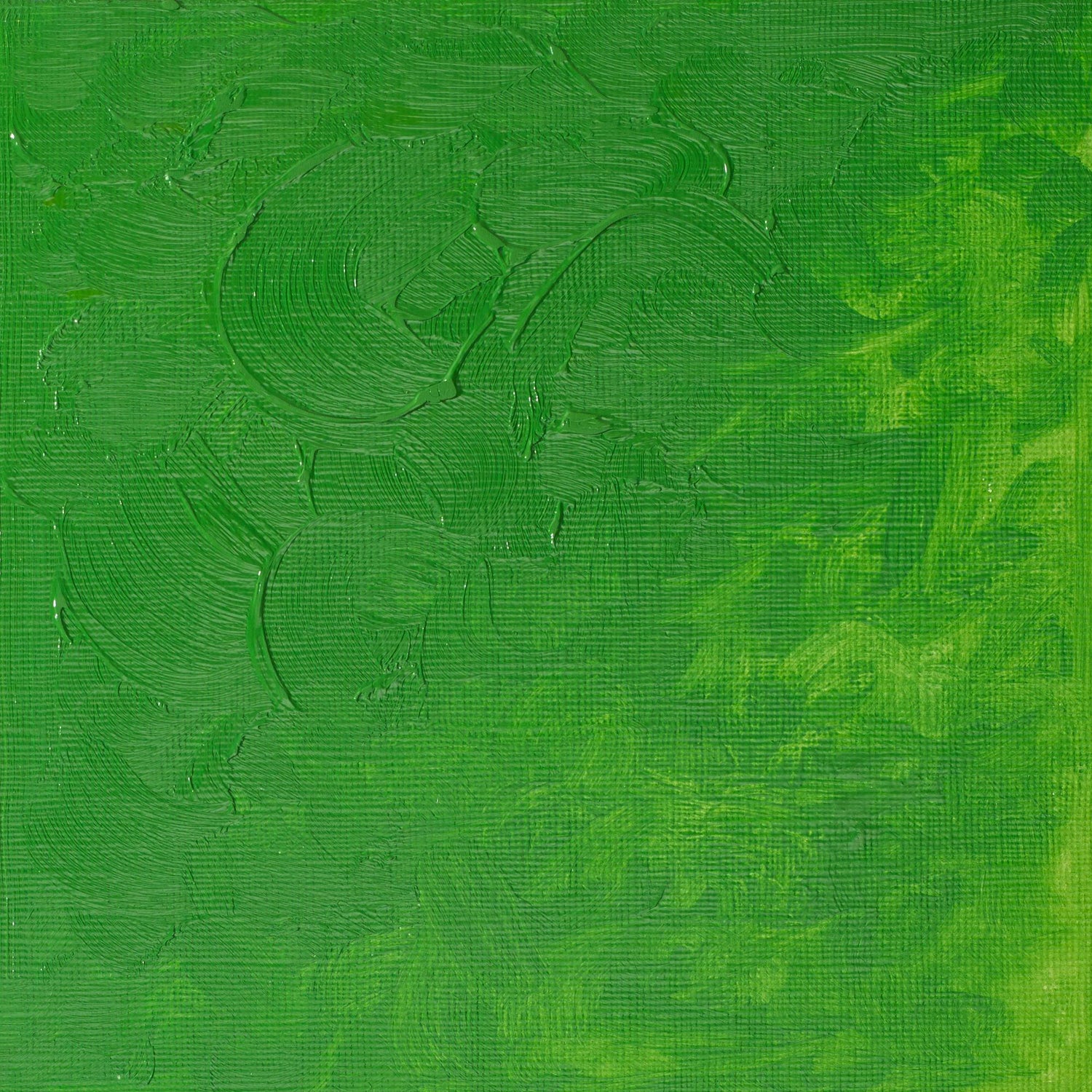 Winton Oil Colour 200ml Permanent Green Light - theartshop.com.au
