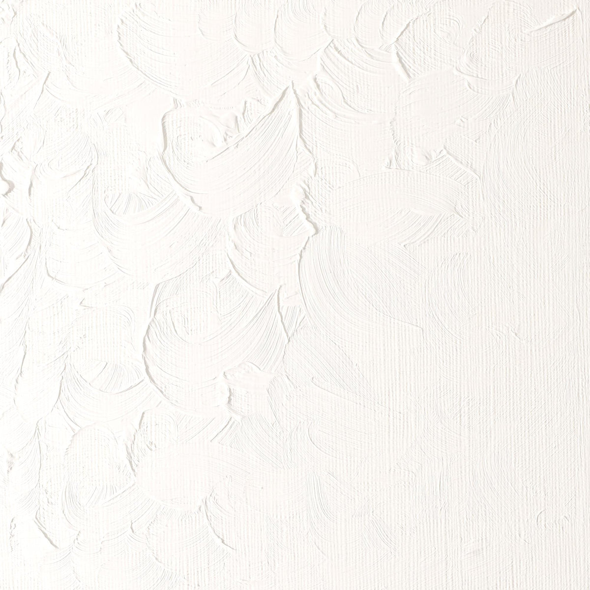 Winton Oil Colour 200ml Titanium White - theartshop.com.au