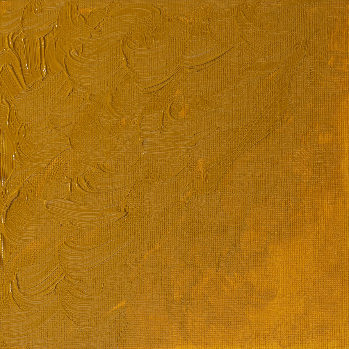 Winton Oil Colour 200ml Yellow Ochre - theartshop.com.au