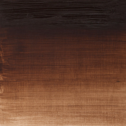 Winton Oil Colour 37ml Burnt Umber - theartshop.com.au