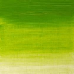 Winton Oil Colour 37ml Chrome Green Hue - theartshop.com.au