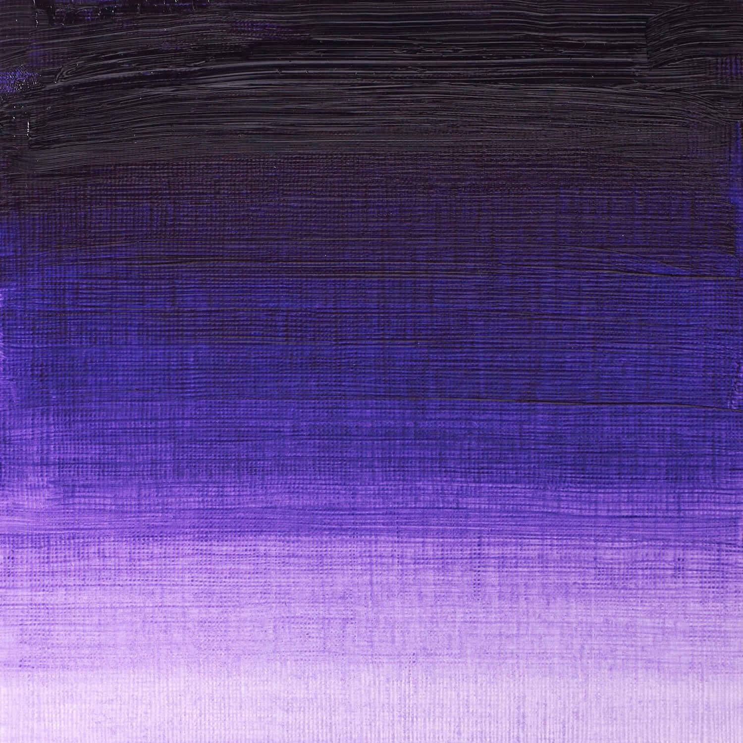 Winton Oil Colour 37ml Dioxazine Purple - theartshop.com.au