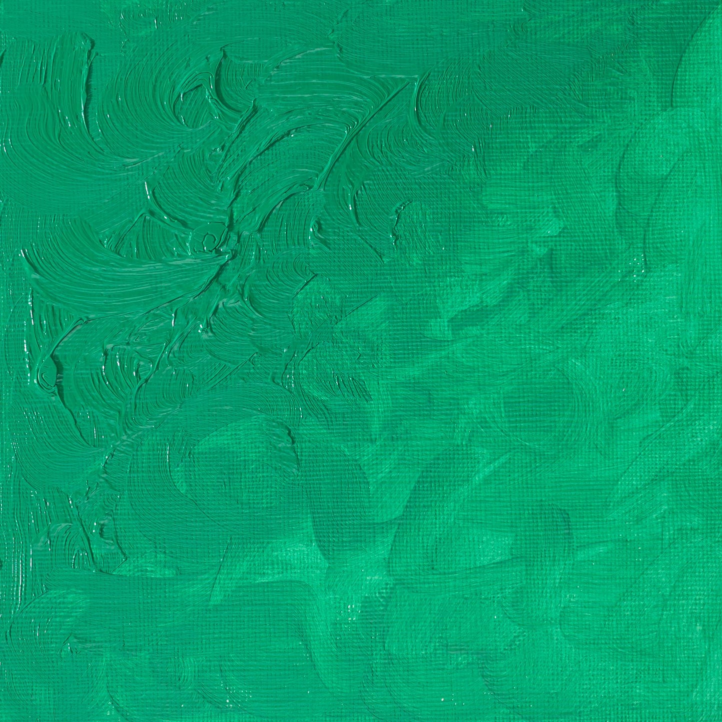 Winton Oil Colour 37ml Emerald Green - theartshop.com.au