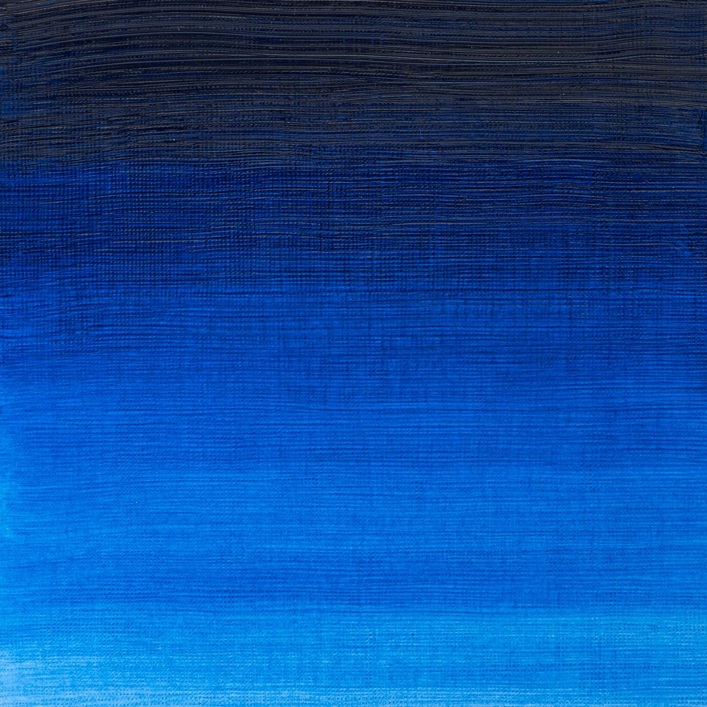 Winton Oil Colour 37ml Phthalo Blue - theartshop.com.au
