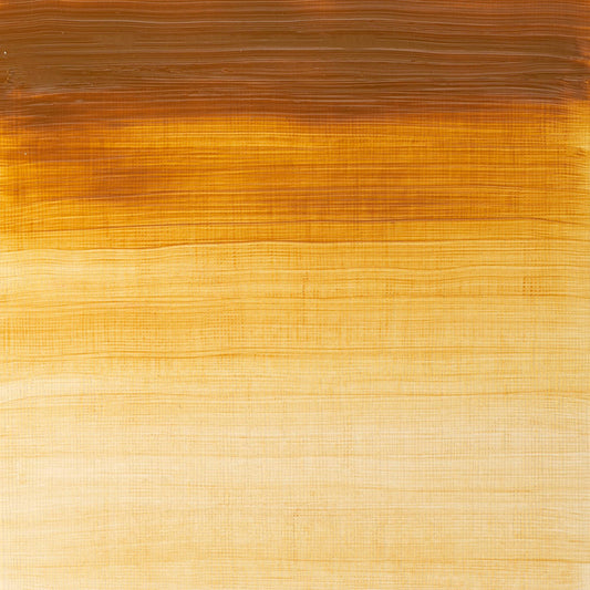 Winton Oil Colour 37ml Raw Sienna - theartshop.com.au