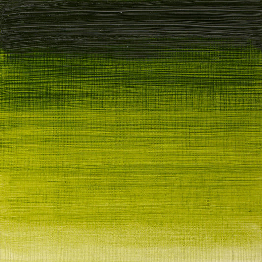 Winton Oil Colour 37ml Sap Green - theartshop.com.au