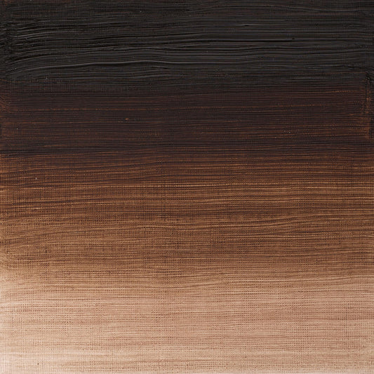Winton Oil Colour 37ml Vandyke Brown - theartshop.com.au